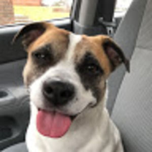 Meet your Posher, Alana